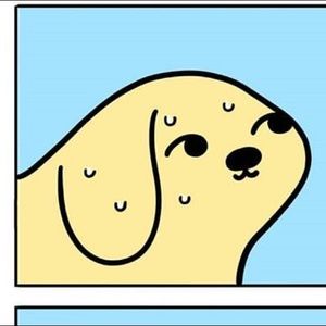 Meet your Posher, Diego